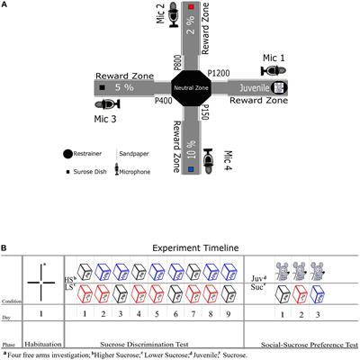 Distinct Profiles of 50 kHz Vocalizations Differentiate Between Social Versus Non-social Reward Approach and Consumption